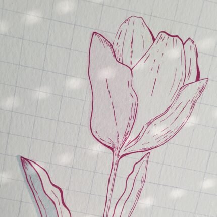 Print na papiru Lala