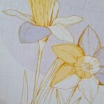 Print na papiru Narcis