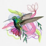 Print na akvarel papiru Kolibri